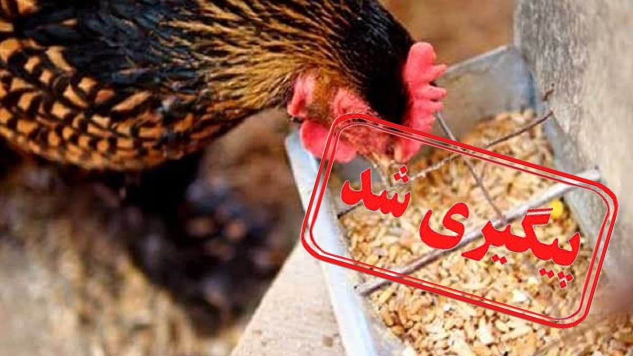 از