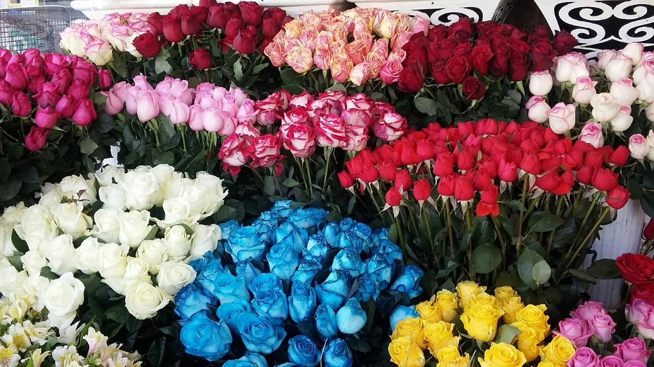 افزایش ۲۰ درصدی قیمت گل در بازار اصفهان