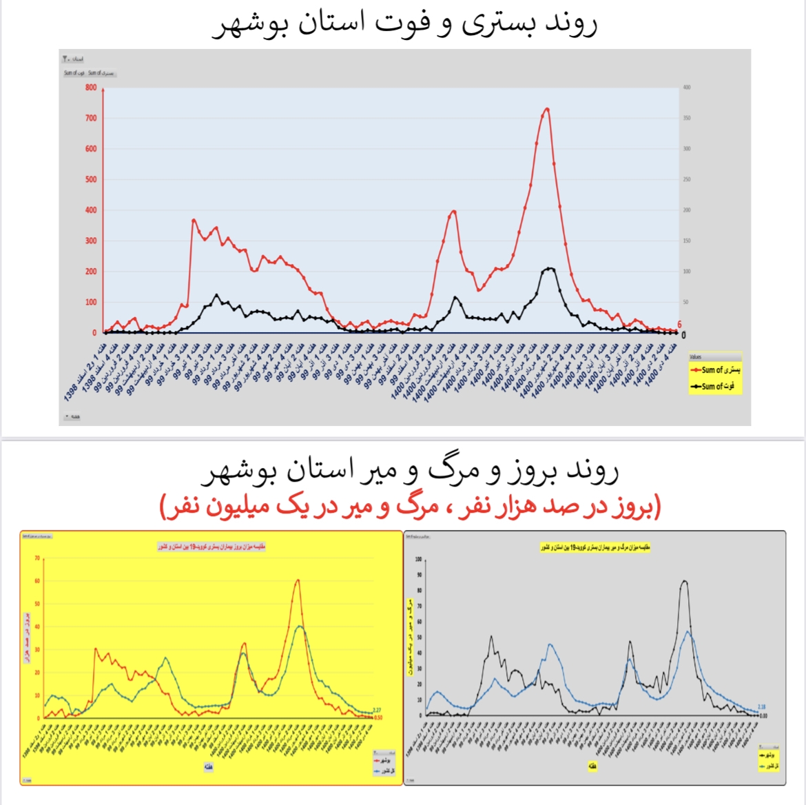 وضعیت بستری و فوتی استان&zwnj; بوشهر