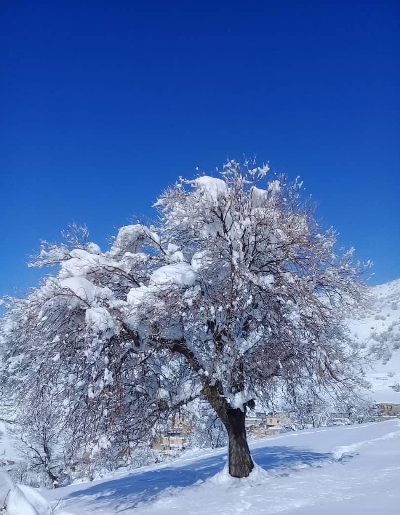 نمایی از طبیعت زمستانی روستای ترخان آباد + تصاویر