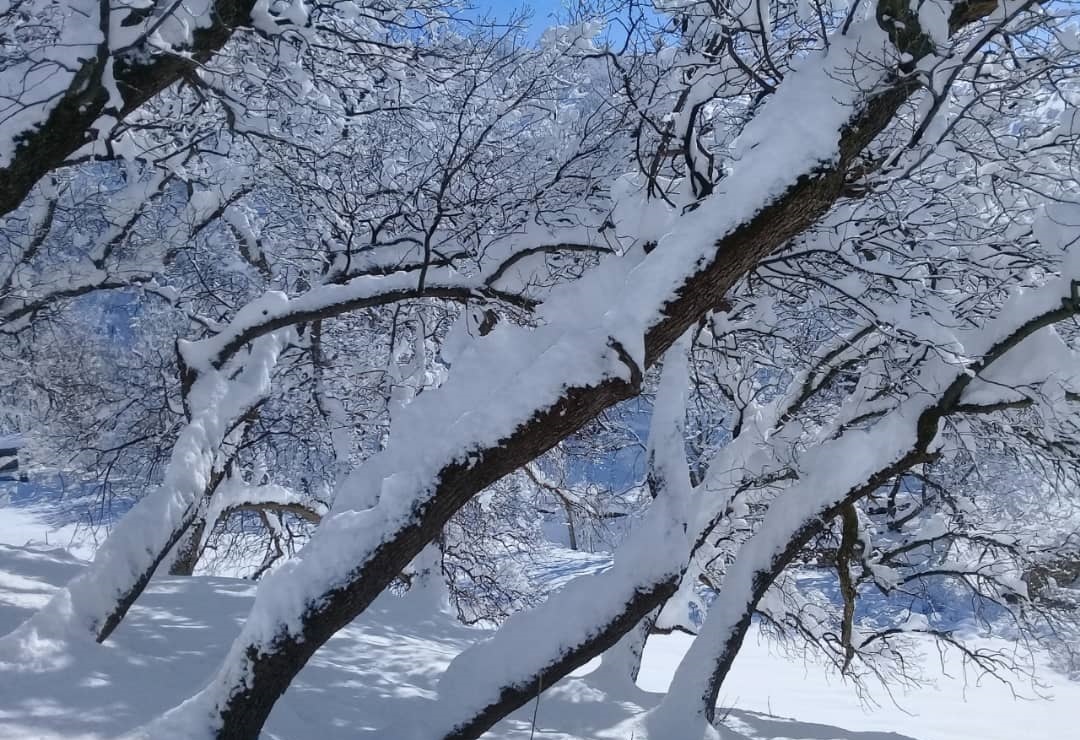 نمایی از طبیعت زمستانی روستای ترخان آباد + تصاویر