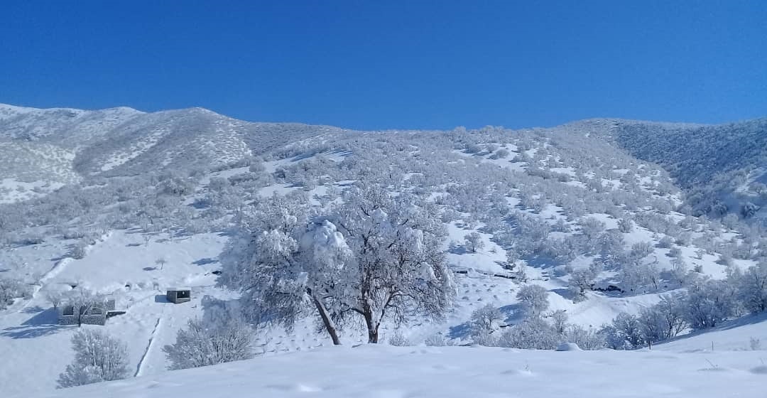 نمایی از طبیعت زمستانی روستای ترخان آباد + تصاویر
