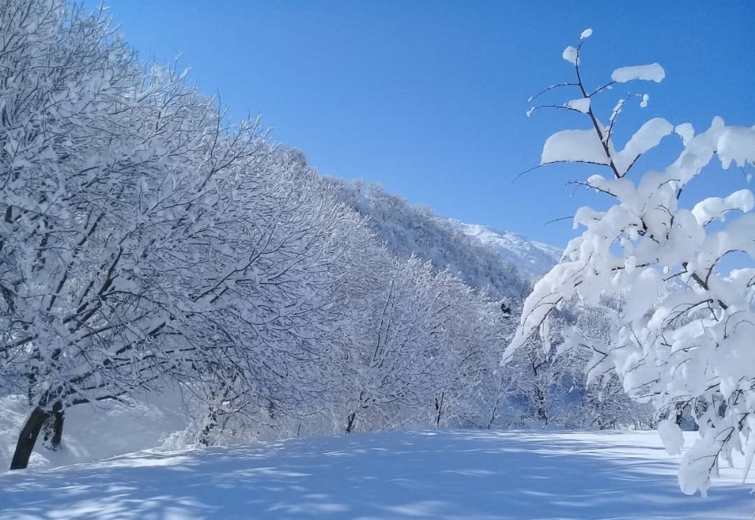 نمایی از طبیعت زمستانی روستای ترخان آباد + تصاویر