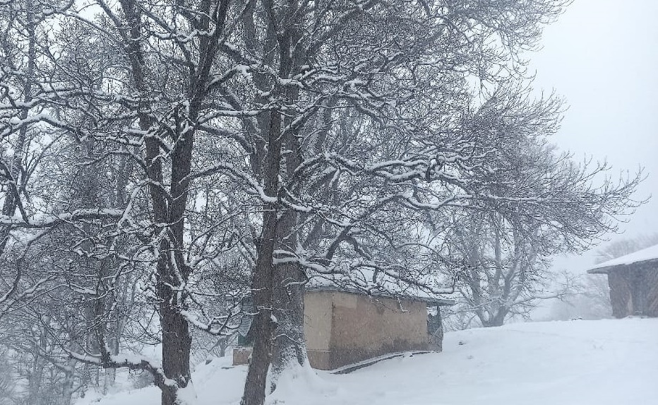 نگاهی به طبیعت زمستانی روستای سیف کلایه از لنز دوربین شهروند خبرنگار + تصاویر