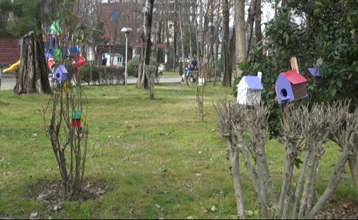 نصب ۴۰ لانه برای حمایت از پرندگان در پارک ملت رشت