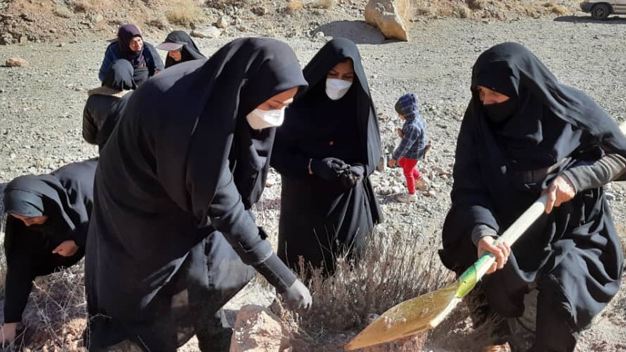 چهارمین پویش بذرکاری و نهالکاری بانوان در بردسکن