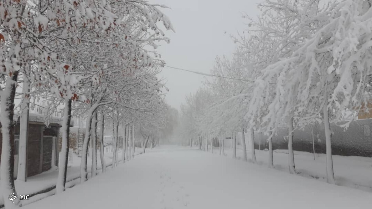 برف مهاباد را فرا گرفت