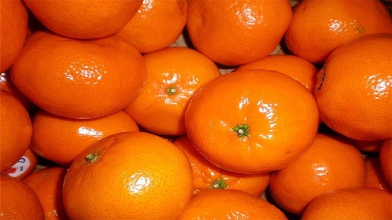 واردات نارنگی پاکستانی از بازارچه های مرزی سیستان و بلوچستان آزاد شد