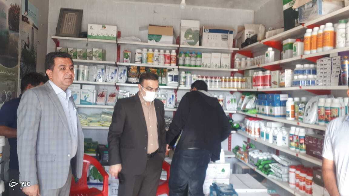 کشف بذر هویج تقلبی در فارس