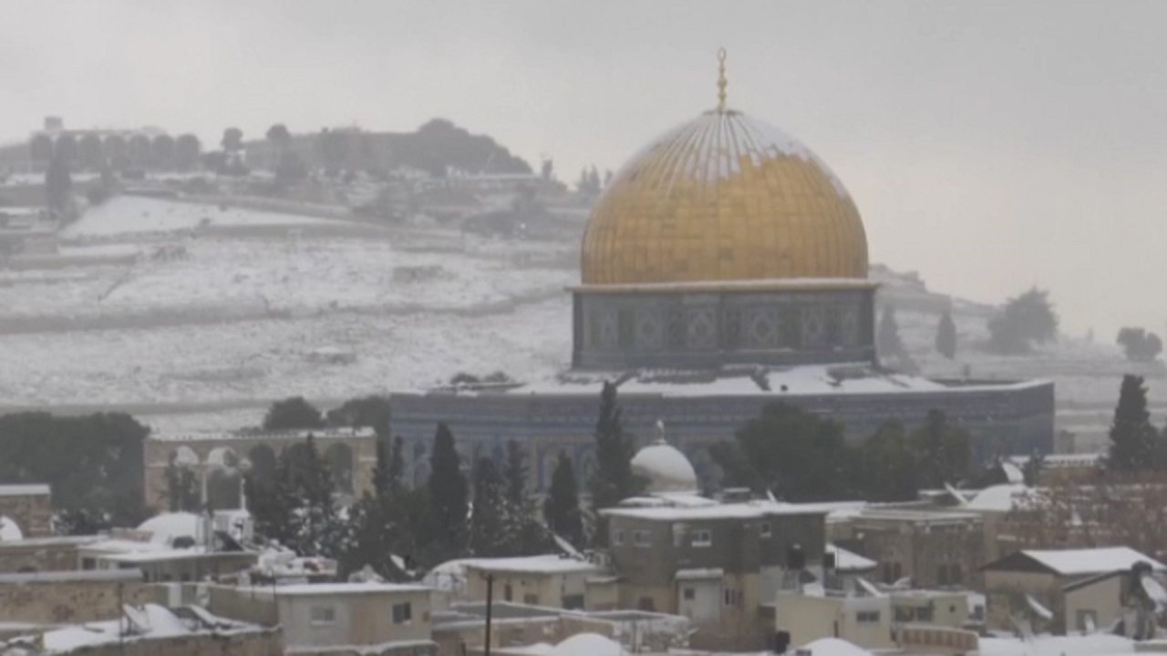 سفید پوش شدن فلسطین + فیلم