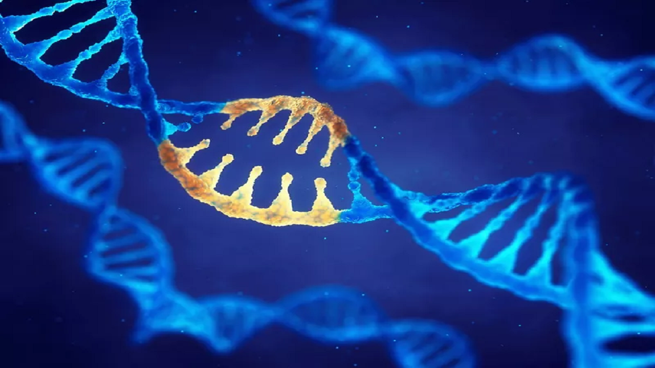تاثیر فناوری CRISPR بر توقف تولید مثل ویروس کرونا در انسان