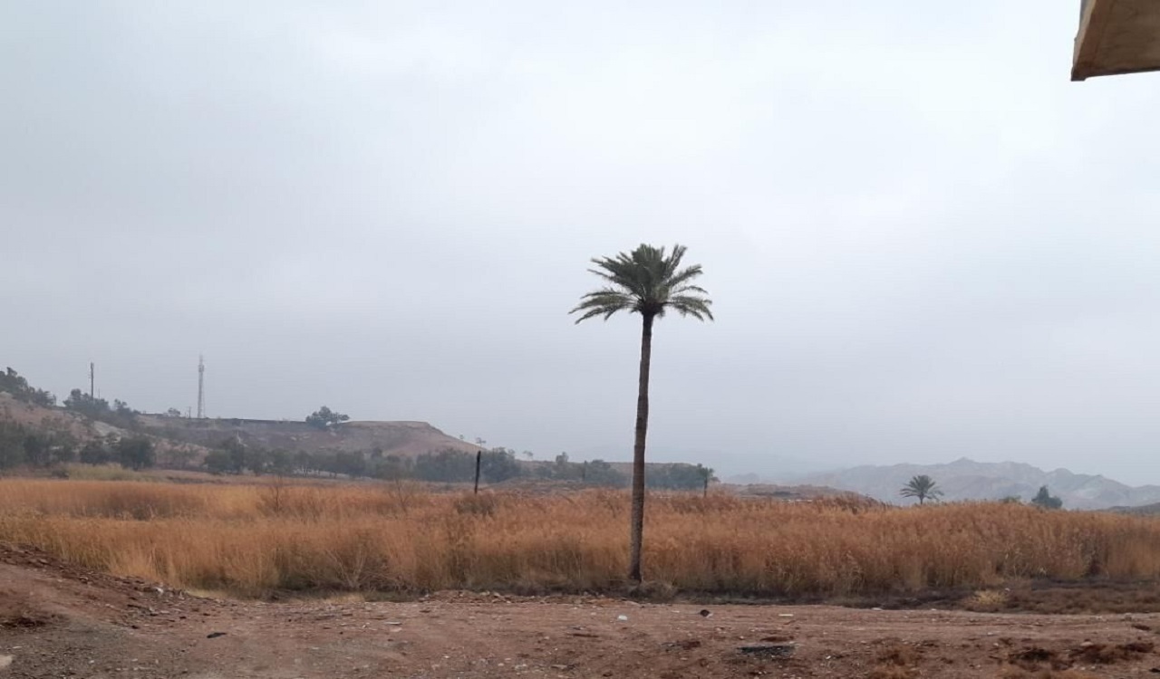 سرعت وزش باد در قصرشیرین به ۳۶ کیلومتر بر ساعت رسید