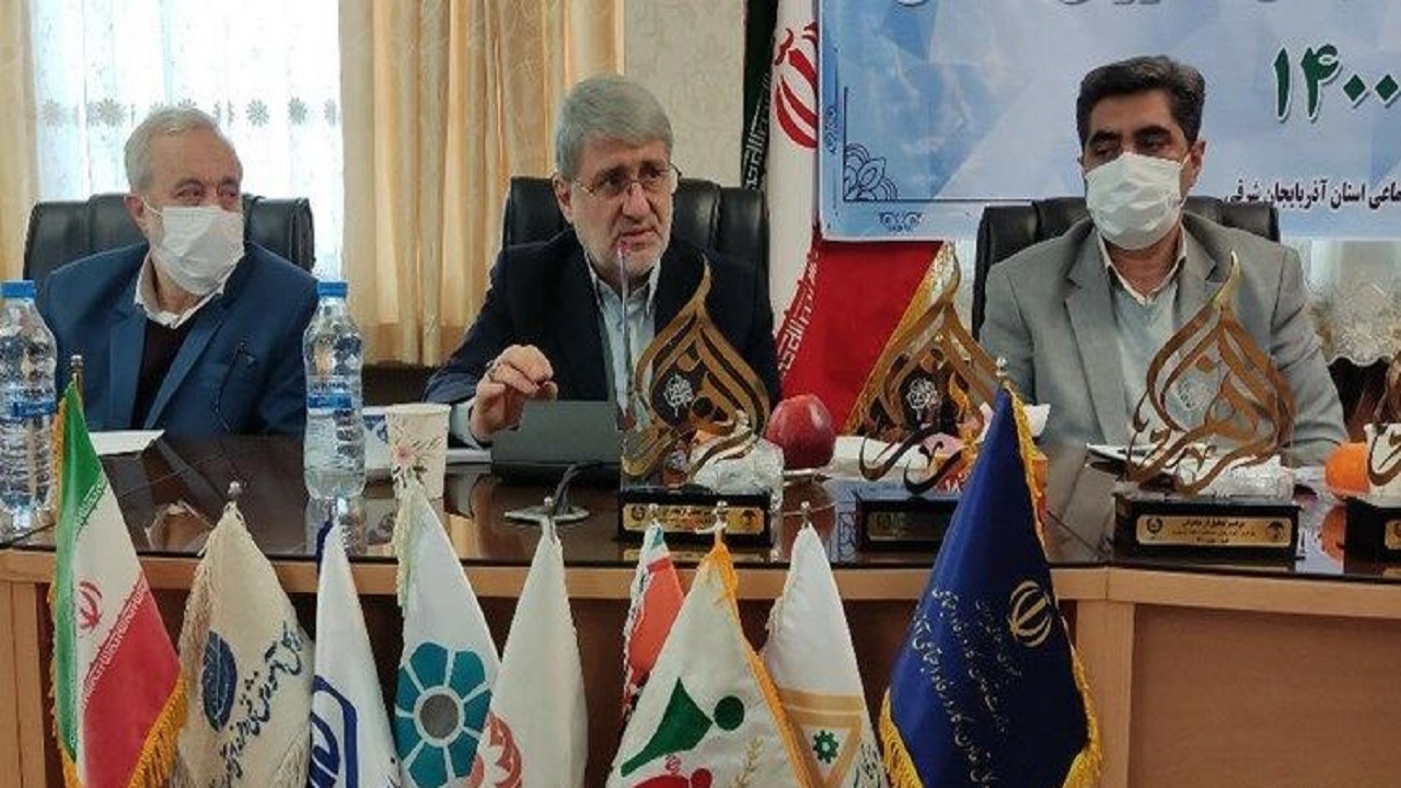 ۲میلیون و ۴۰۰ هزار سرپرست خانوار در مشاغل خانگی فعالیت می‌کنند