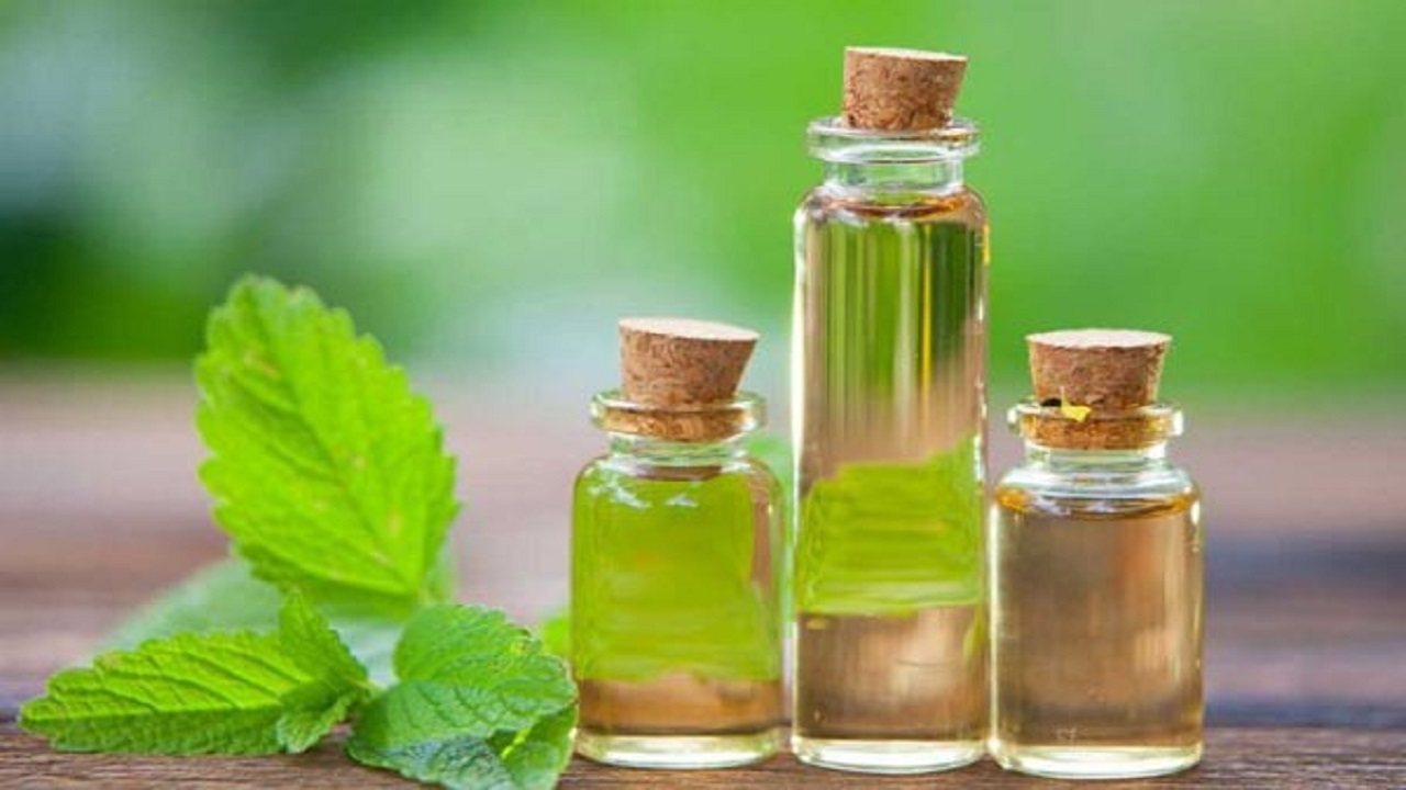 خواص درمانی روغن نعناع و بهترین راه‌های استفاده از آن