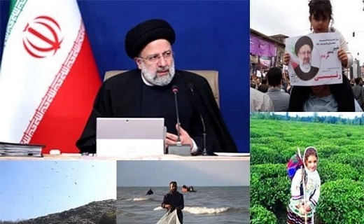 چای گیلان بی نظیر است