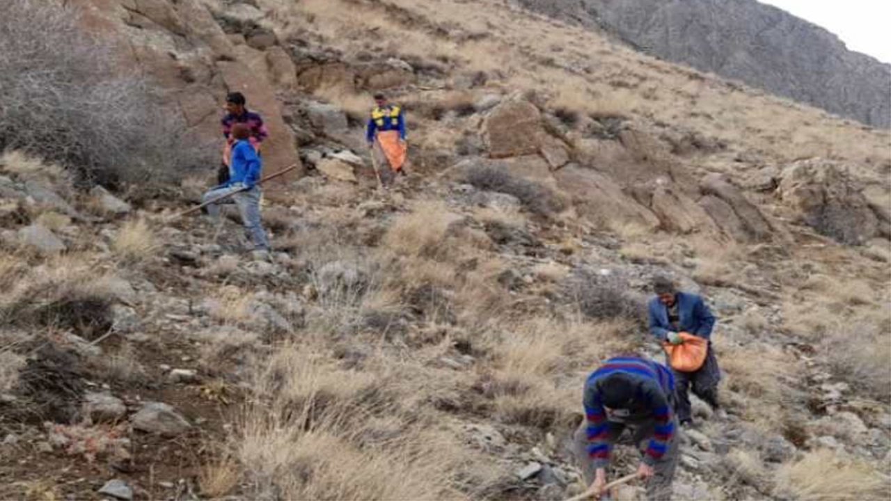 بذرکاری در ۳۰۰ هکتار مراتع و جنگل‌های خفر