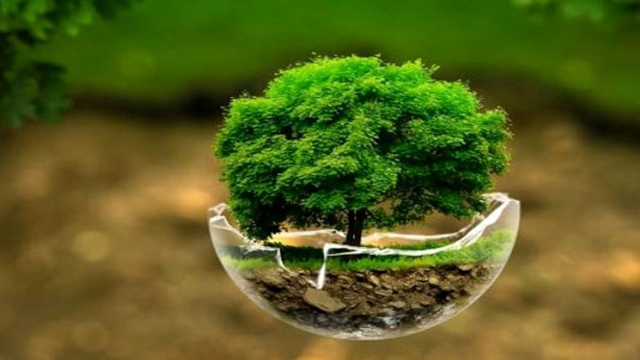 به سمت آمایش محیط زیستی دقیق حرکت می‌کنیم