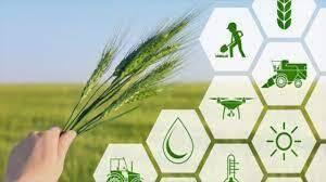 پرداخت ۲۴۴ میلیارد ریال تسهیلات بانکی در بیضا