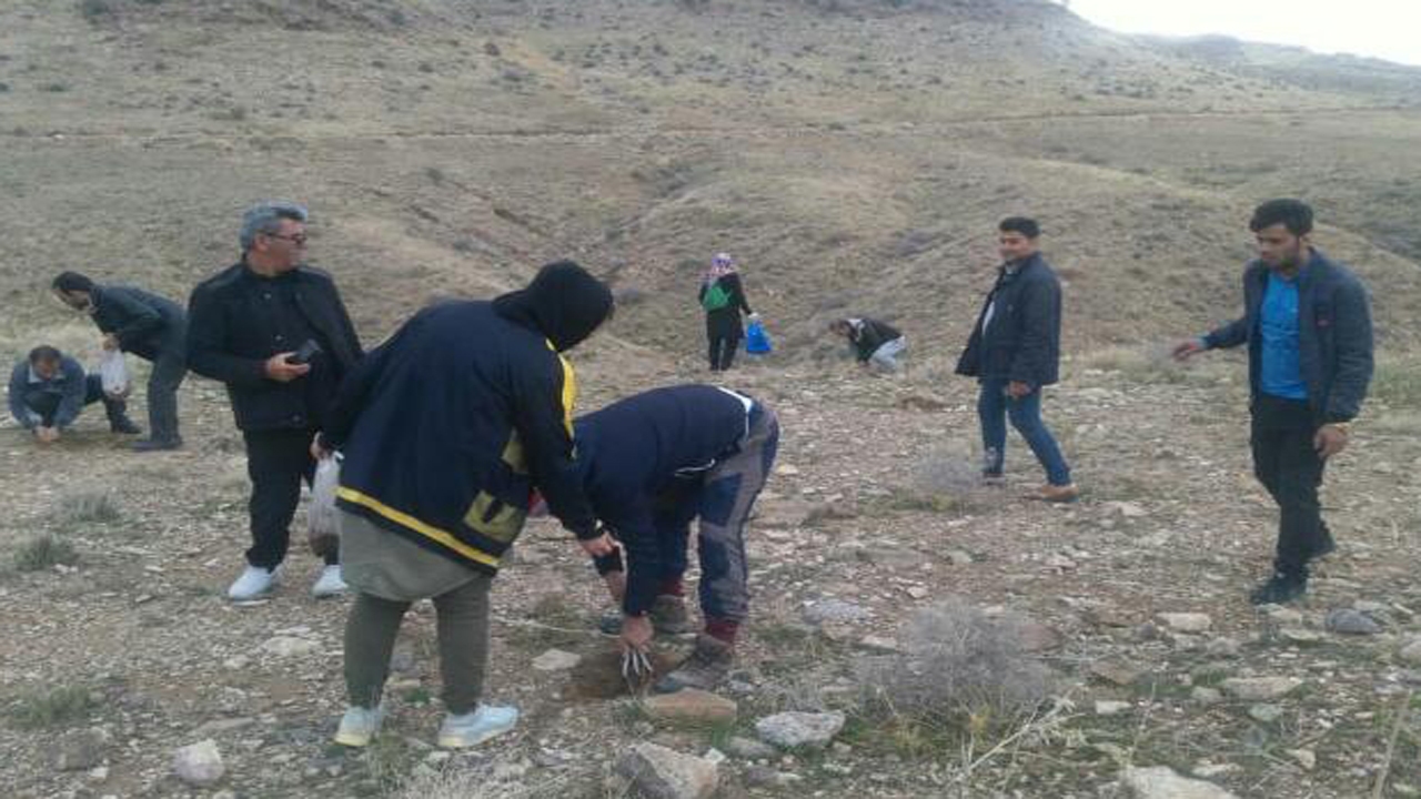 احیای مناطق جنگلی در مرودشت