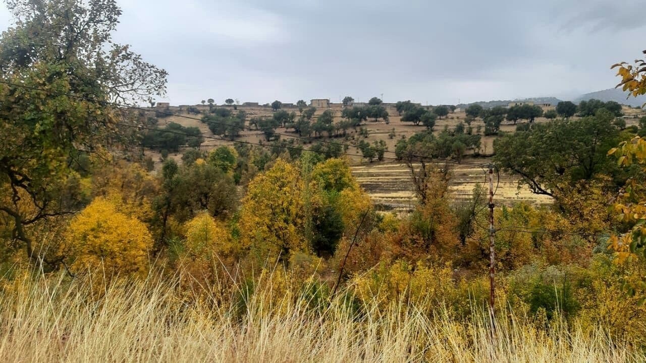 تصاویری از طبیعت روستای جوزار بکش