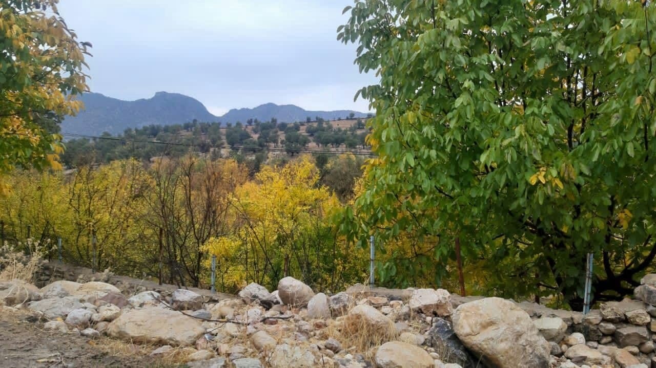 تصاویری از طبیعت روستای جوزار بکش