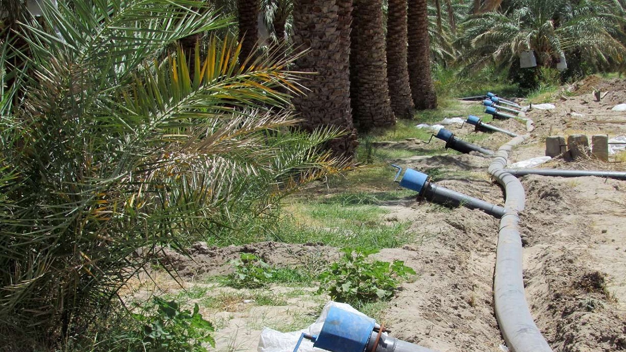 ٢٠٢ طرح بخش کشاورزی سیستان و بلوچستان در دهه فجر آماده افتتاح است