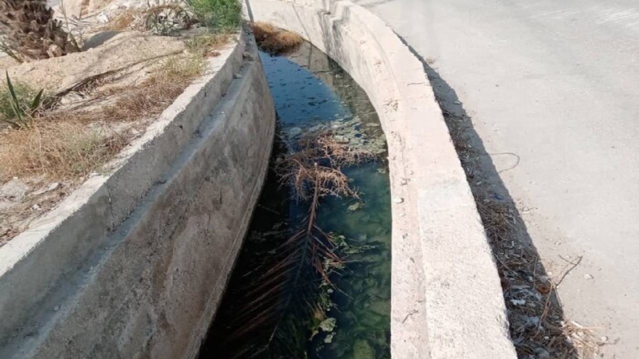 ساکنان محلههای تنگک بوشهر همچنان در انتظار حل مشکل فاضلاب ساکنان محلههای تنگک بوشهر همچنان در انتظار حل مشکل فاضلاب