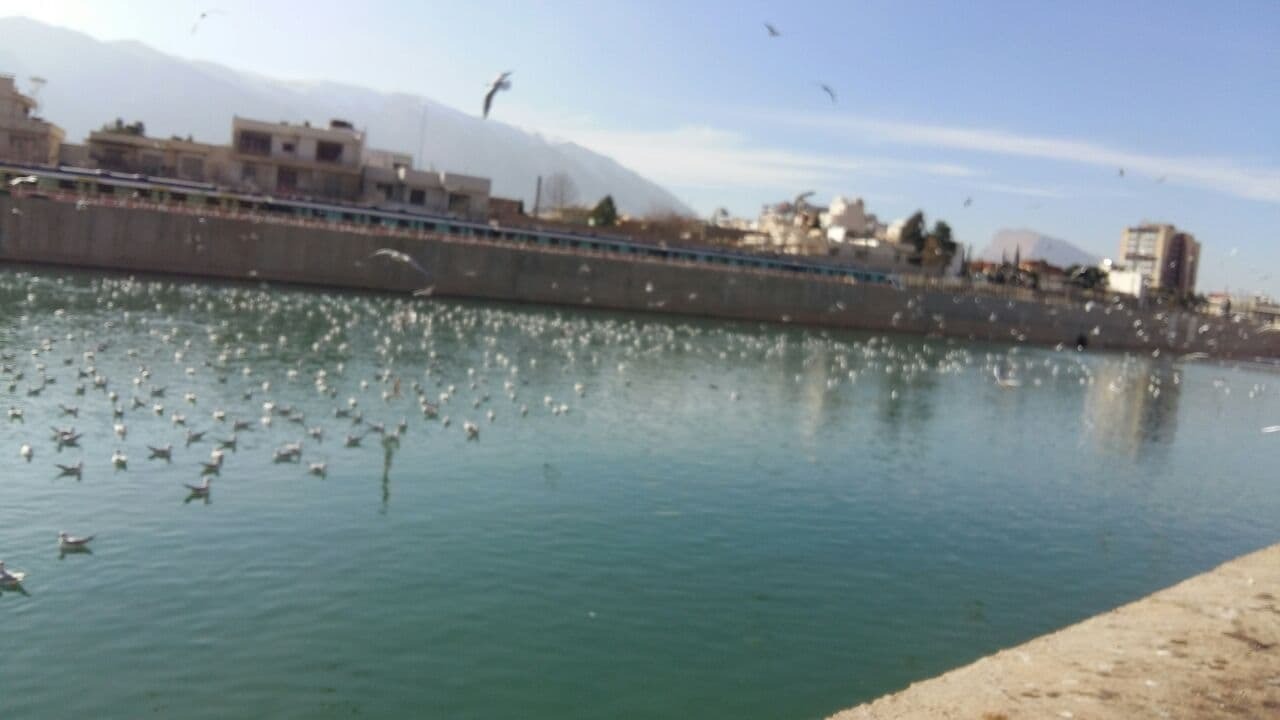نمایی از پیاده راه سلامت شیراز در یک نگاه + تصاویر