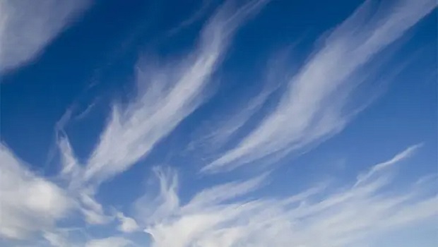 ۱۶ دانستنی جالب درباره لئوناردو داوینچی