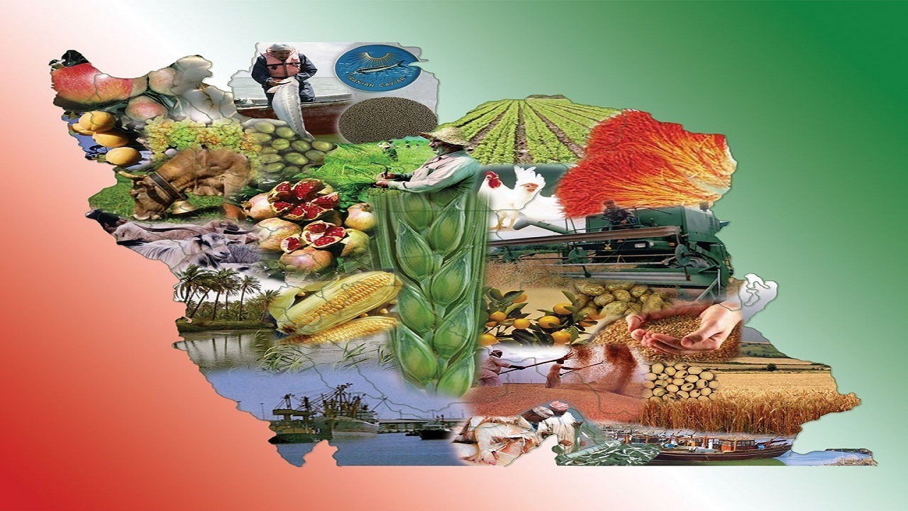 ایجاد بیش از ۱۶ هزار شغل در کشور با اجرای طرح زیست‌بوم محلی