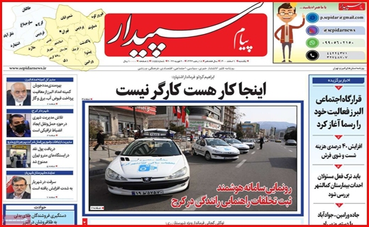 سپیدار