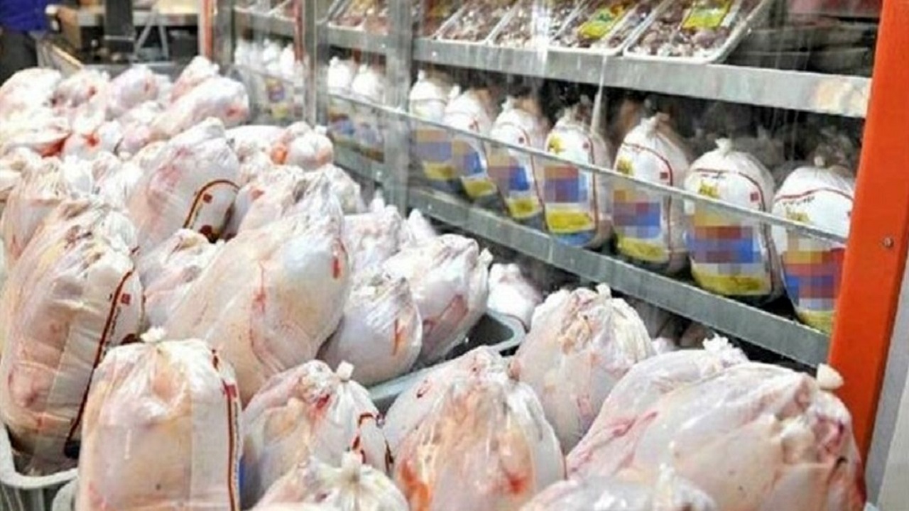 خرید حمایتی مرغ متوقف است