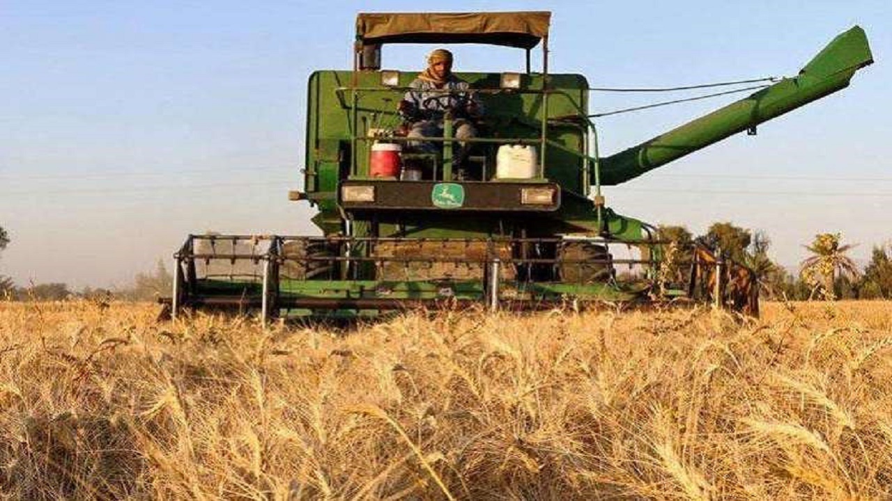 نبود صنایع تبدیلی در تنها بندر استراتژیک کشور