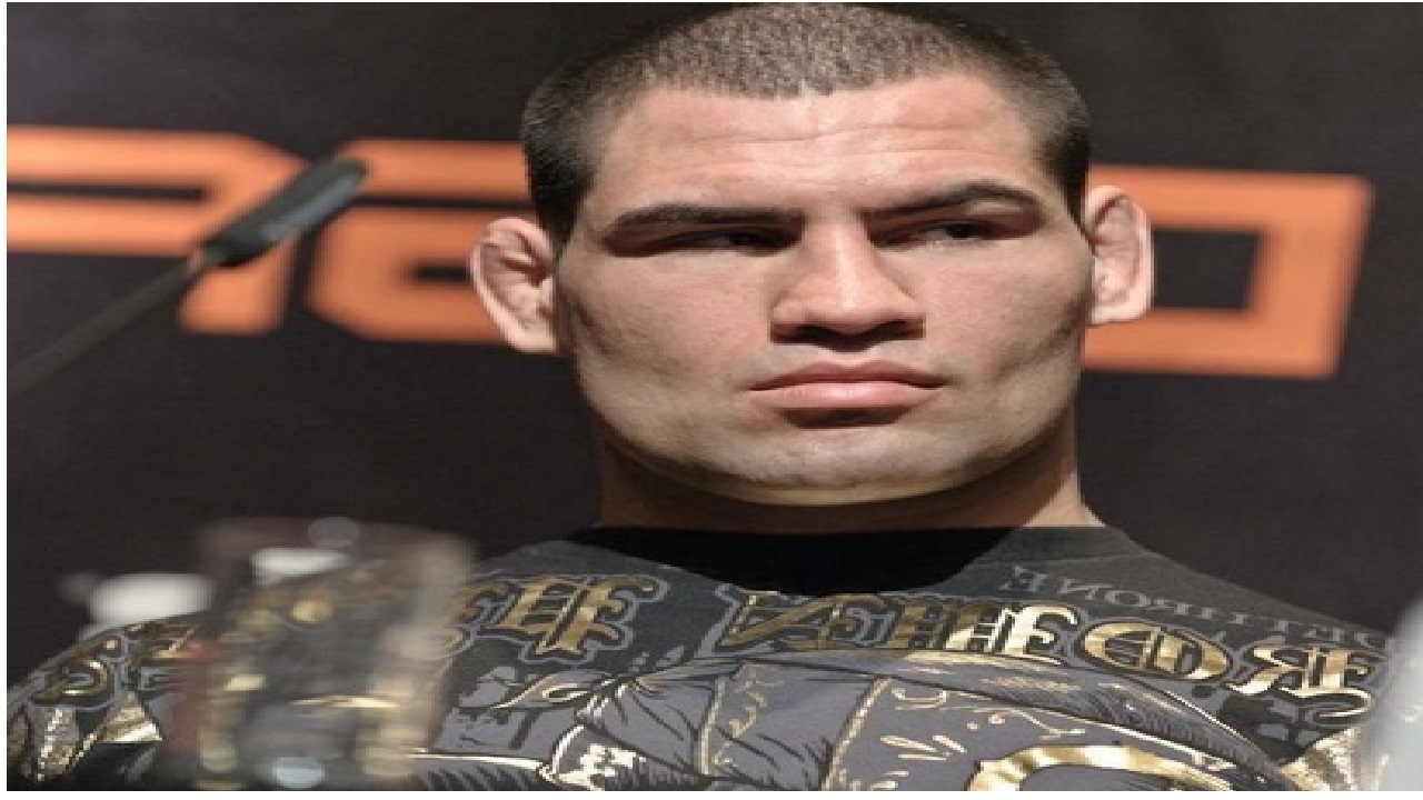تیراندازی به دست قهرمان ufc