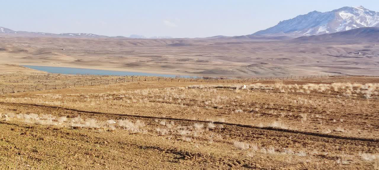 سواحل زاینده رود در انحصار مجتمعهای تفریحی سواحل زاینده رود در انحصار مجتمعهای تفریحی دستگاههای دولتی