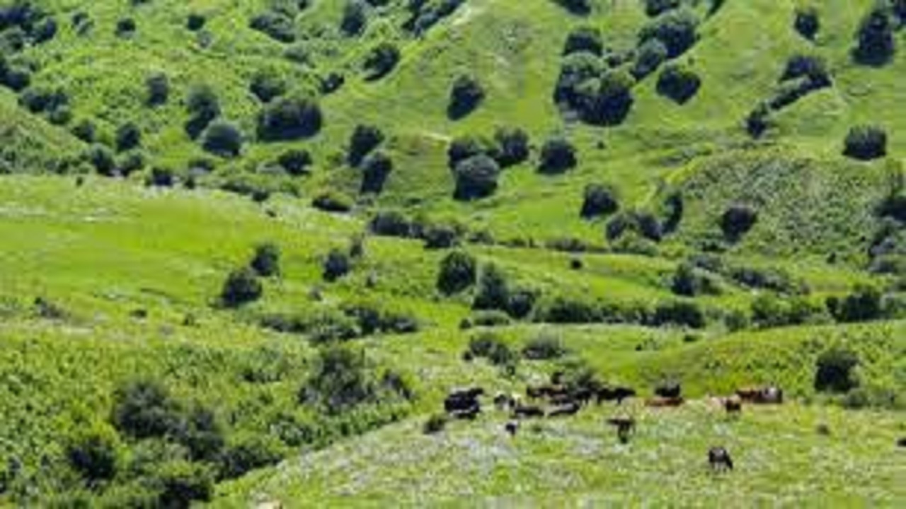 بازگشت ۶۲۴ هکتار از اراضی ملی استان اردبیل به بیت‌المال