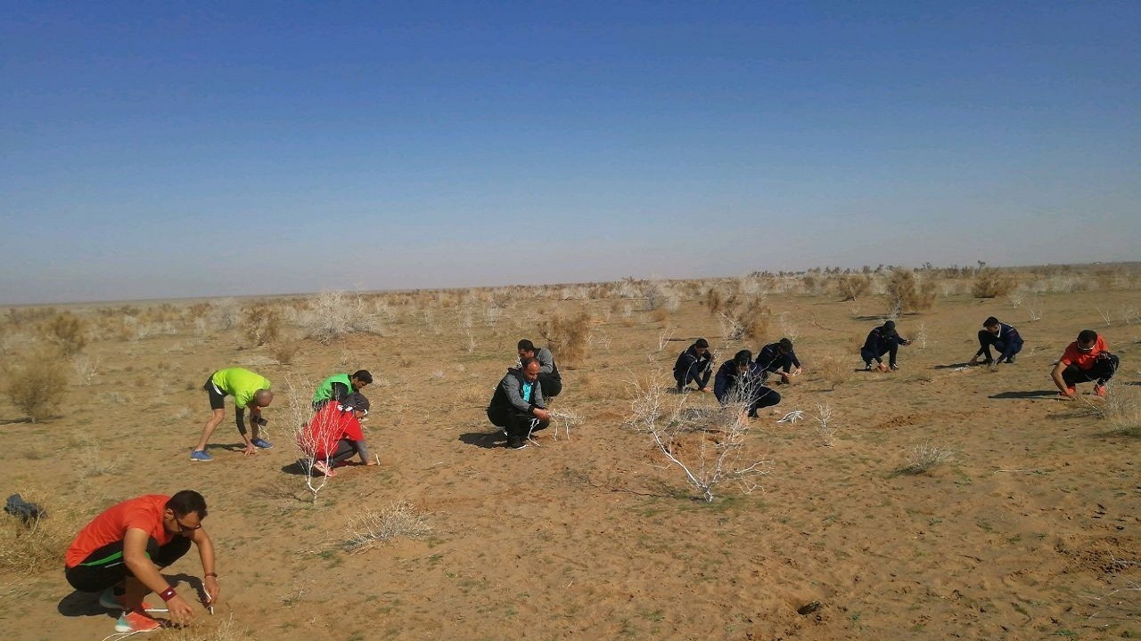 نهال کاری مدال آوران ورزشی و هنری در منابع طبیعی نوش آباد