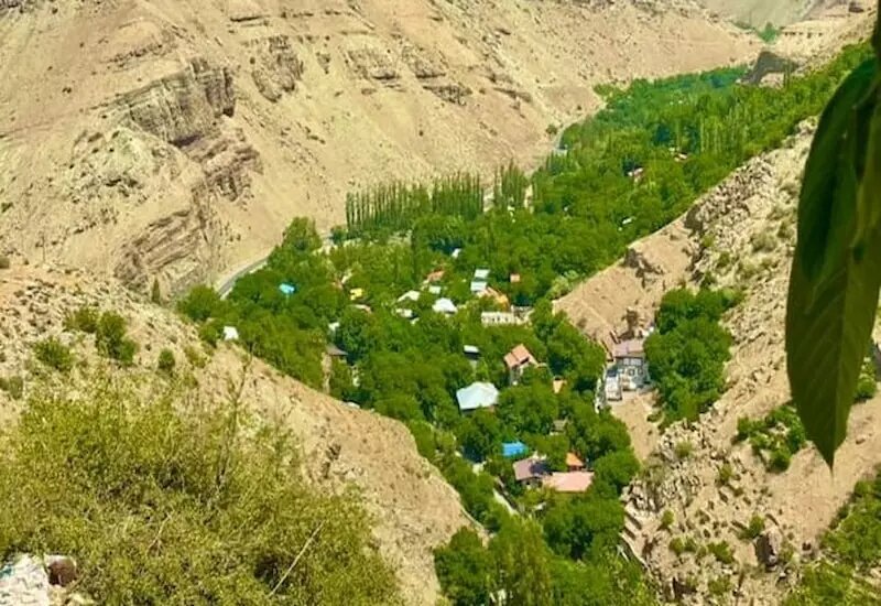 سیب سفره هفت&zwnj;سین تهرانی&zwnj;ها از کجا تهیه می&zwnj;شد؟ +تصاویر