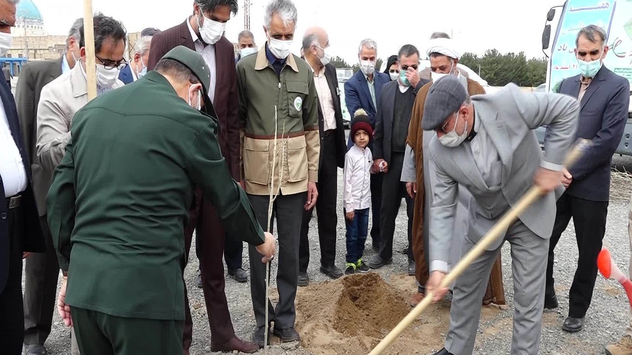 کاشت نهال در مسجد جامع المهدی بیرجند
