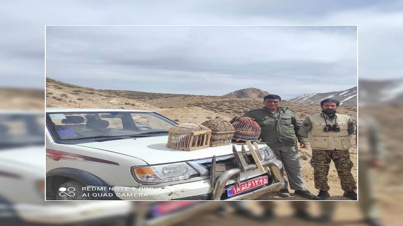 دستگیری متخلفان زنده گیری پرندگان وحشی در رابر