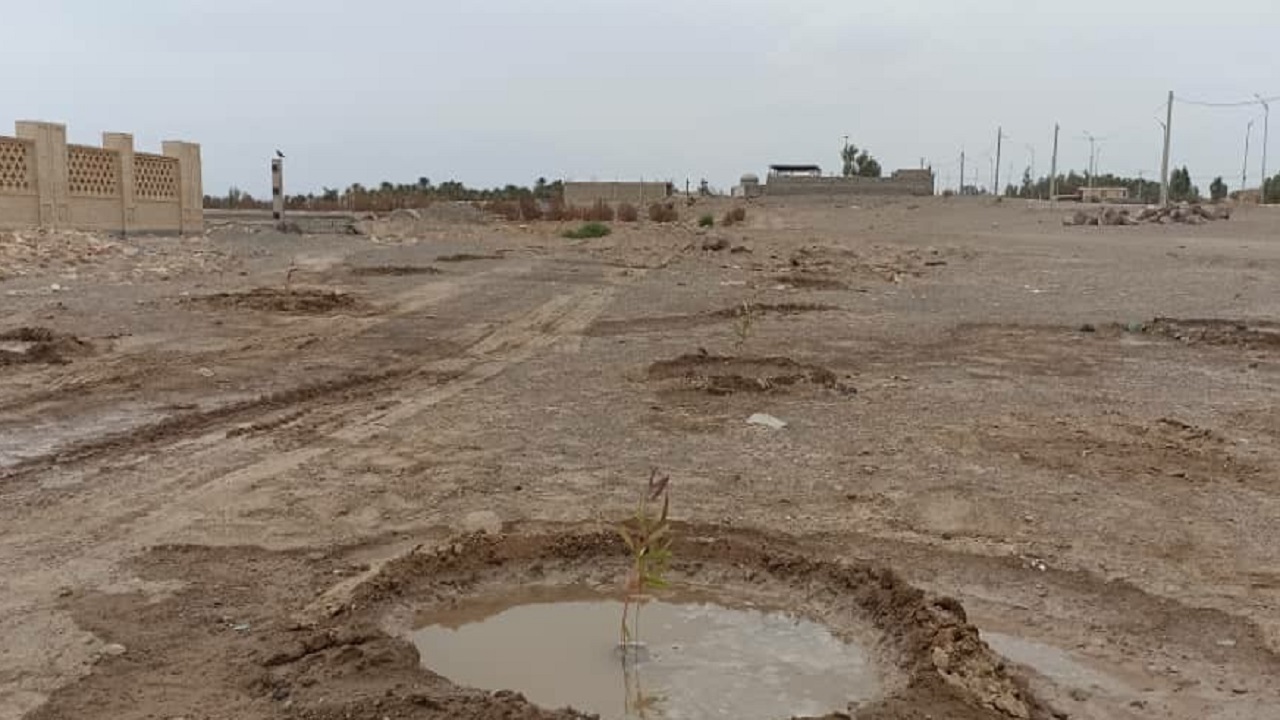 کاشت ۵۰ اصله نهال در پایگاه جهانی لوت در فهرج