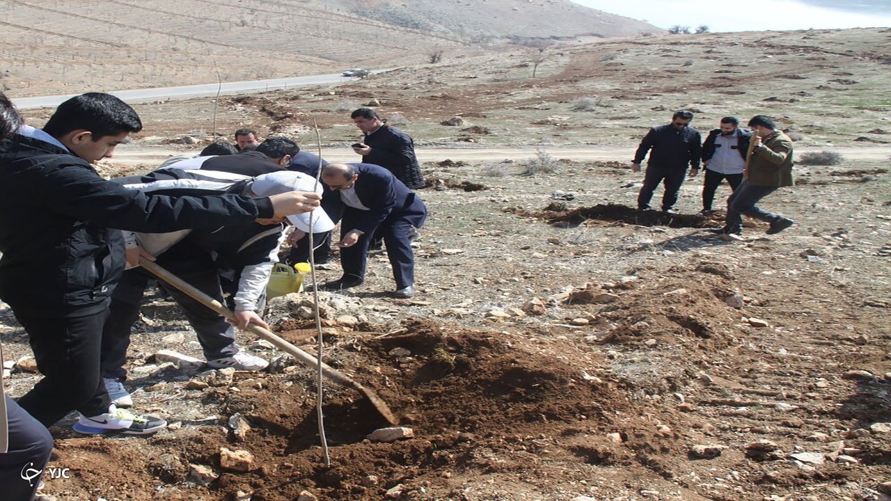 بیش از ۵ هزار اصله انواع نهال در مهاباد غرس می‌شود