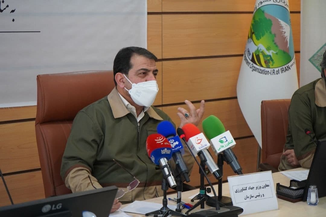 سازمان جنگل ها متولی صدور مجوز نیست