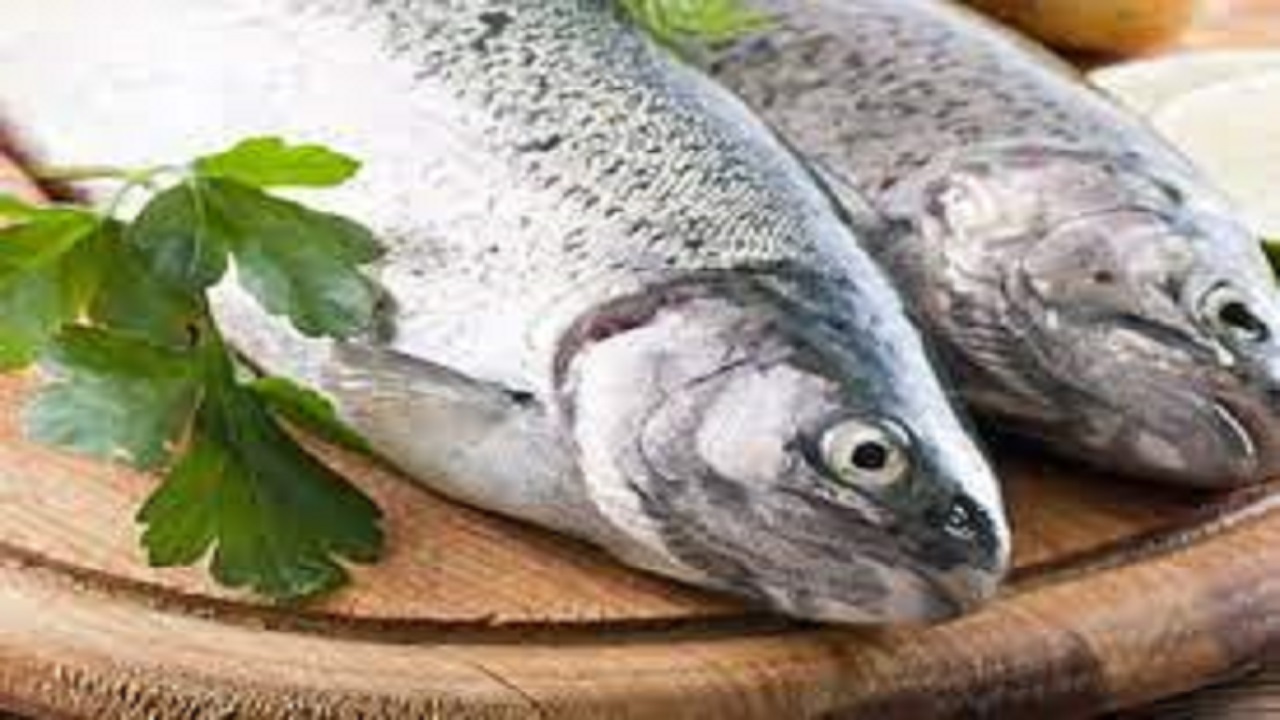 انواع ماهی در بازار چند؟