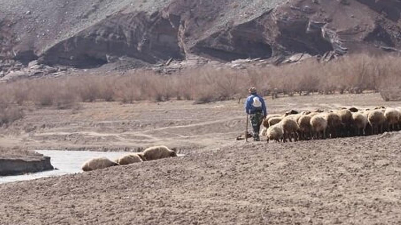 روایتی از ناپدید شدن یک دامدار منجیلی