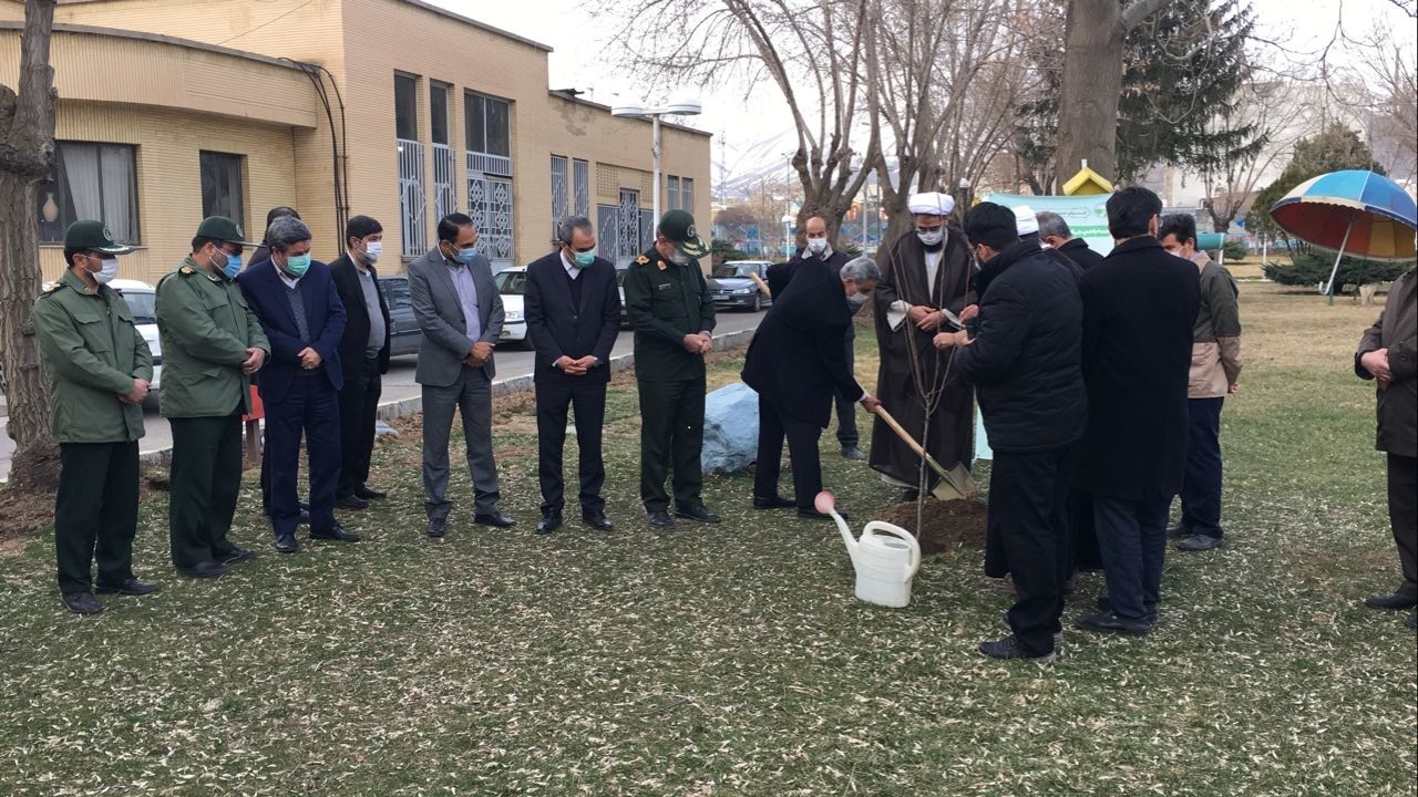 چند نهال در صدا وسیمای مرکز همدان کاشته شد