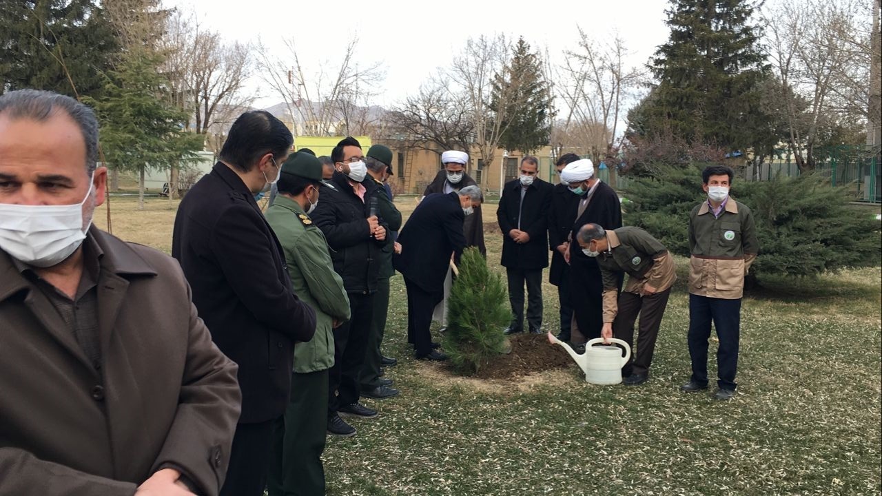 چند نهال در صدا وسیمای مرکز همدان کاشته شد