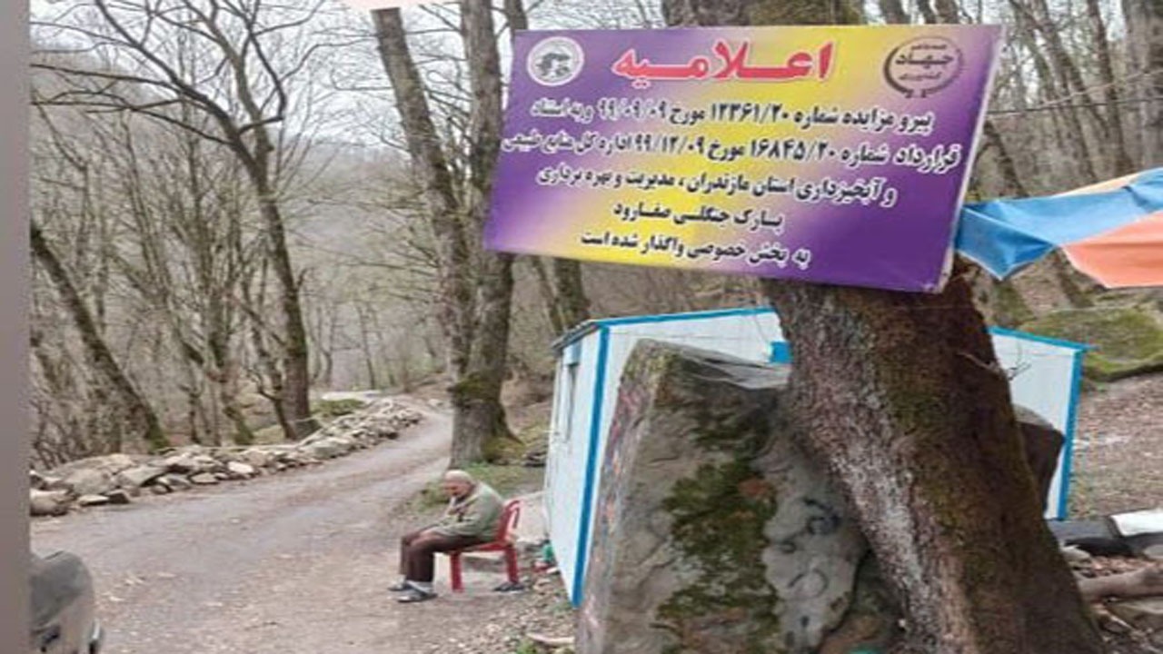 ۱۰ هزار تومان برای ورود به جنگل + فیلم