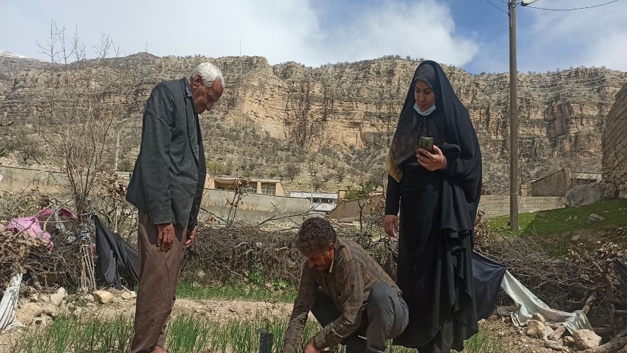 ترویج فرهنگ درختکاری در کهگیلویه توسط گروه جهادی