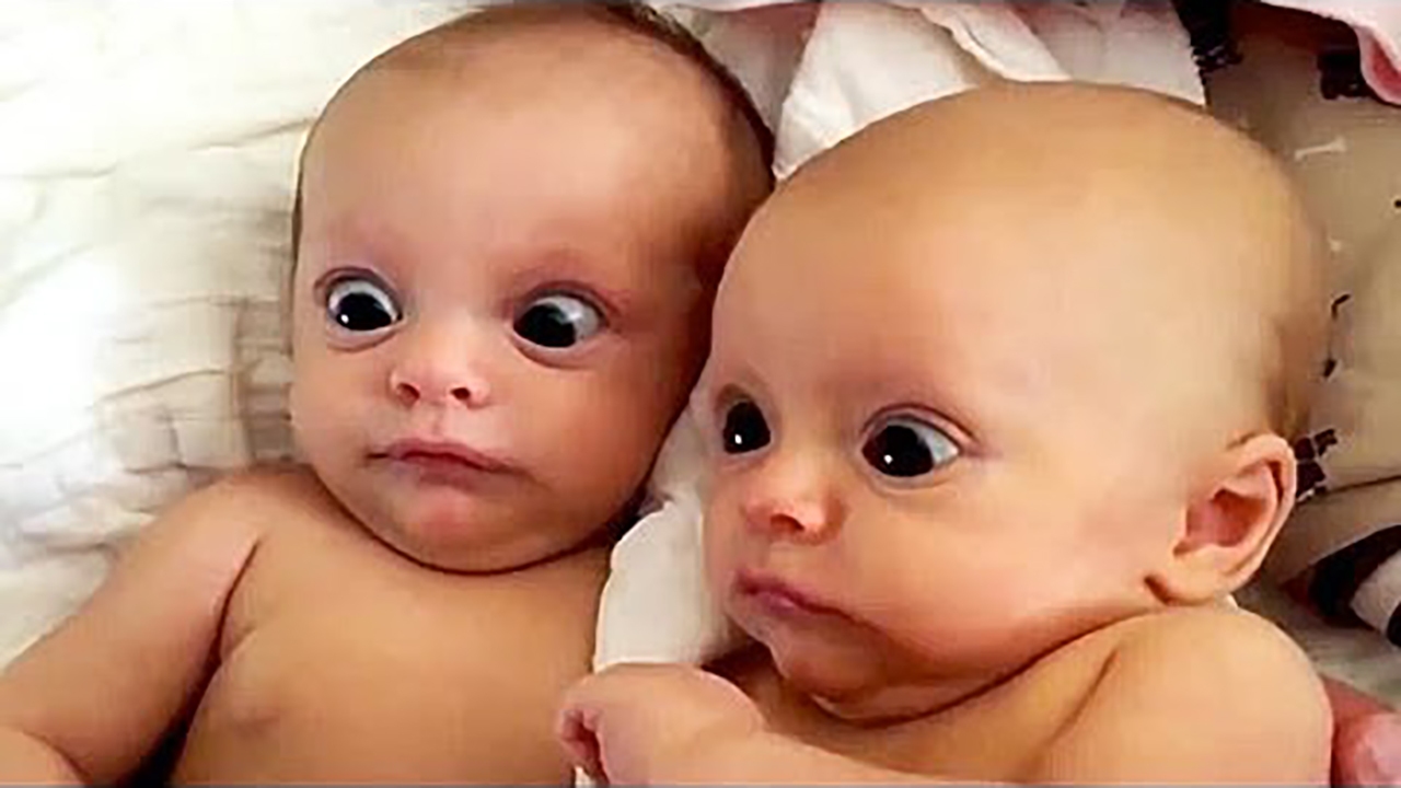 مجموعه‌ای از کلیپ‌های طنز + فیلم
